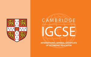 Struggling with IGCSE Subjects ?